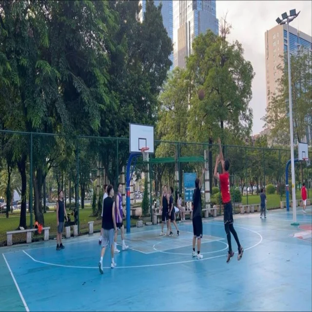汪顺复出迎来泳坛新篇章